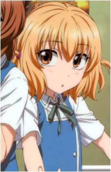 Roka Shibasaki