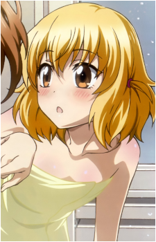 Roka Shibasaki