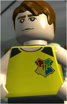 Image 7