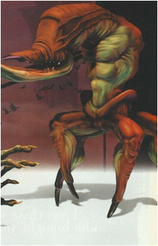 Scrab's image