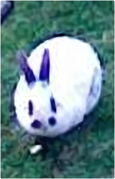 SCP-524's image