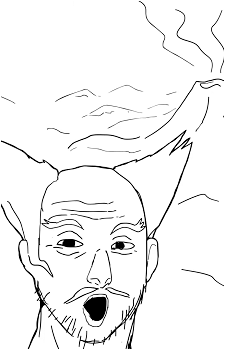 Image 41