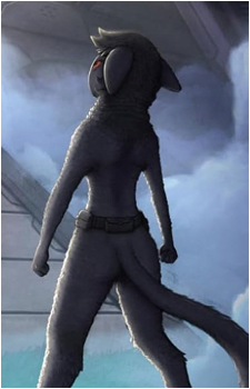 Tarva's image