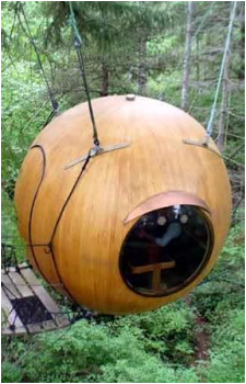 SCP-709's image
