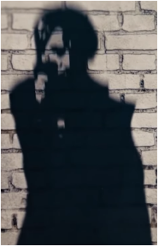 Silva's image