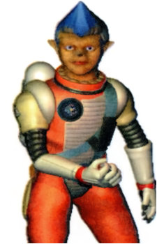Spacer's image