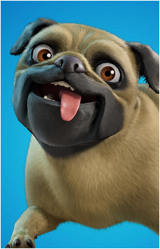 Doggo Jr.'s image