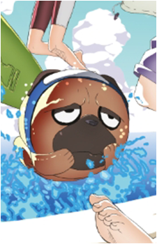 Pakkun
