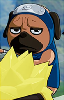 Pakkun