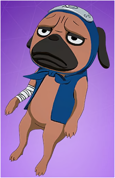 Pakkun