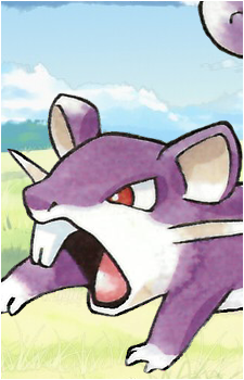Rattata