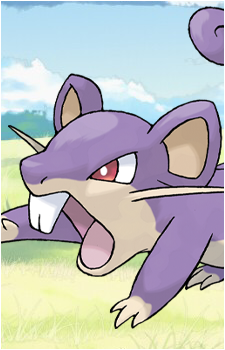 Rattata's image