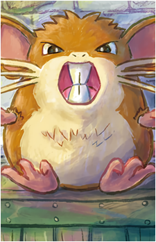 Image 31