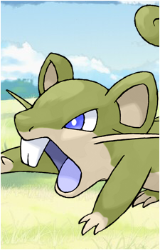 Rattata
