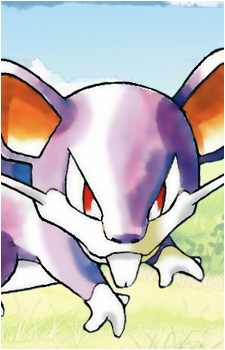 Rattata