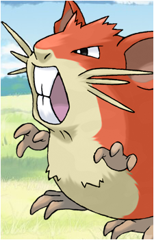 Rattata
