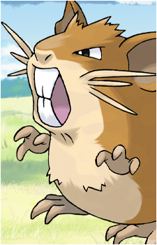 Rattata