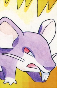 Rattata