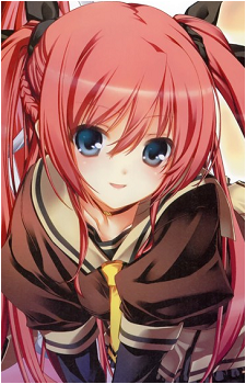 Image 14
