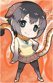 Superb Lyrebird