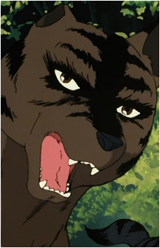 Chutora's image