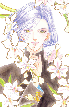 Image 22