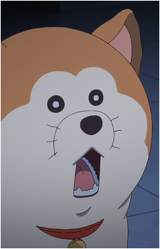 Image 9 Image 9