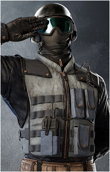 Sentry's image