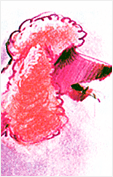 Image 4 Image 4