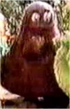 Grimace