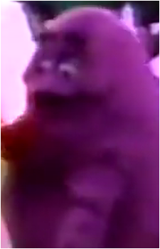 Grimace