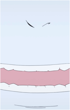 Ryota Suzui