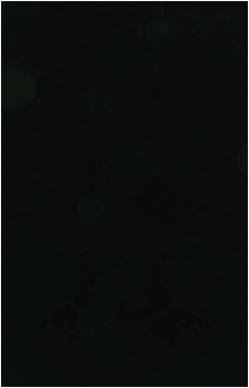 Image 6 Image 6