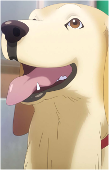 Yujiro's image