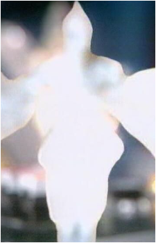 Kronos {DW}'s image