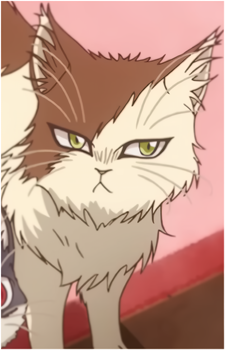 Roku's image