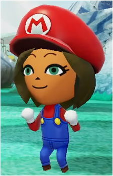 Nintendo Fan