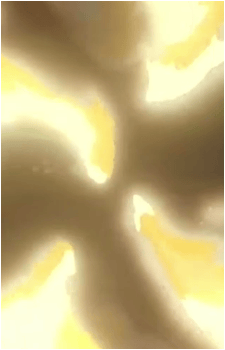 Image 271 of Yutaro Katori