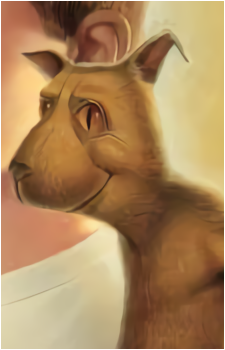 Morf's image