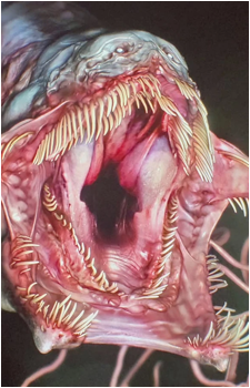 The Eel