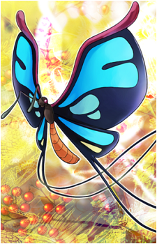 Reed Butterfly's image