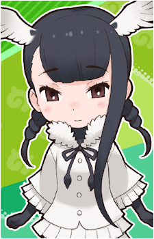 Black-Headed Ibis