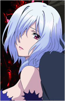 Image 7 Image 7