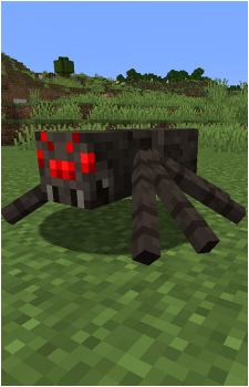 Spider's image