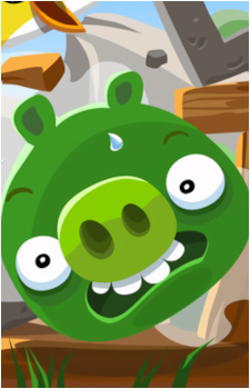 Minion Pig's image