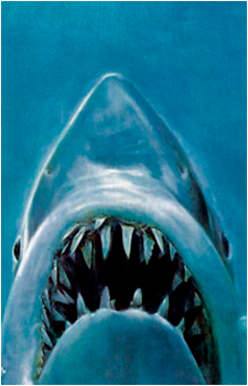 Bruce