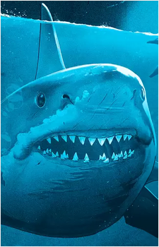 Bruce