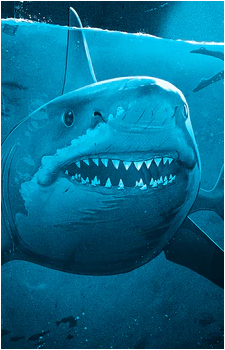 Bruce