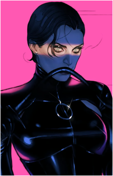 Catwoman (Selina Kyle)