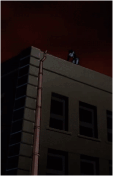 Catwoman (Selina Kyle)